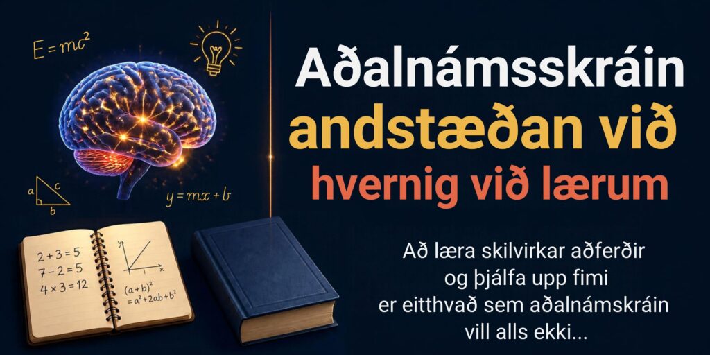 Aðalnámskráin andstæðan við hvernig við lærum